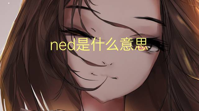 ned是什么意思 ned的翻译、读音、例句、中文解释