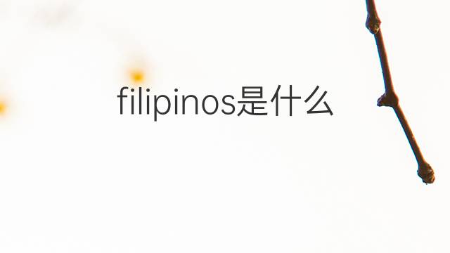 filipinos是什么意思 filipinos的翻译、读音、例句、中文解释