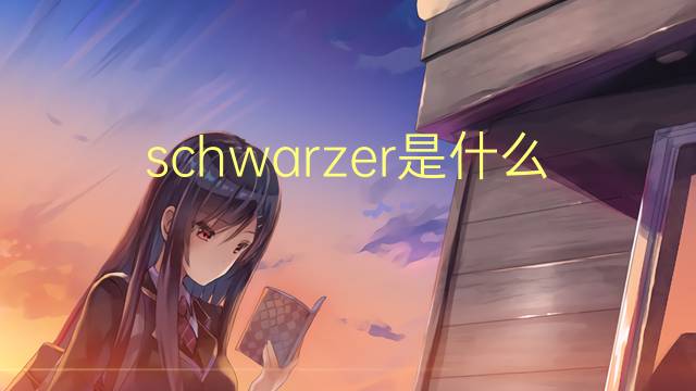 schwarzer是什么意思 schwarzer的翻译、读音、例句、中文解释