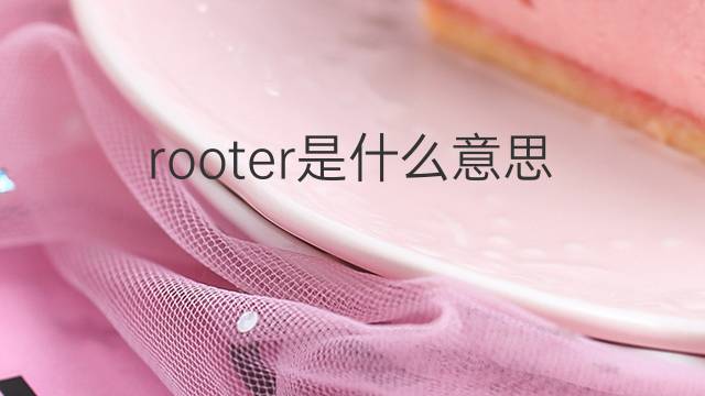 rooter是什么意思 rooter的翻译、读音、例句、中文解释