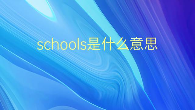 schools是什么意思 schools的翻译、读音、例句、中文解释