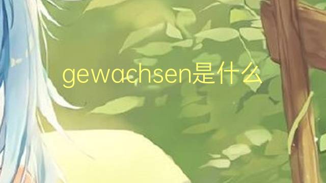 gewachsen是什么意思 gewachsen的翻译、读音、例句、中文解释