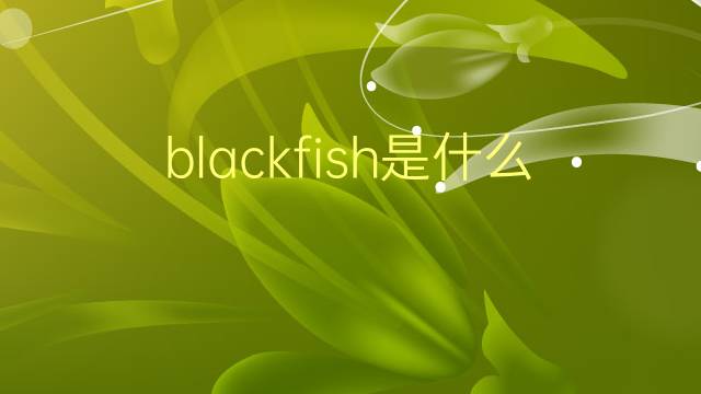 blackfish是什么意思 blackfish的翻译、读音、例句、中文解释