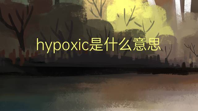 hypoxic是什么意思 hypoxic的翻译、读音、例句、中文解释