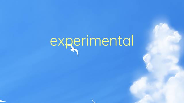 experimental是什么意思 experimental的翻译、读音、例句、中文解释