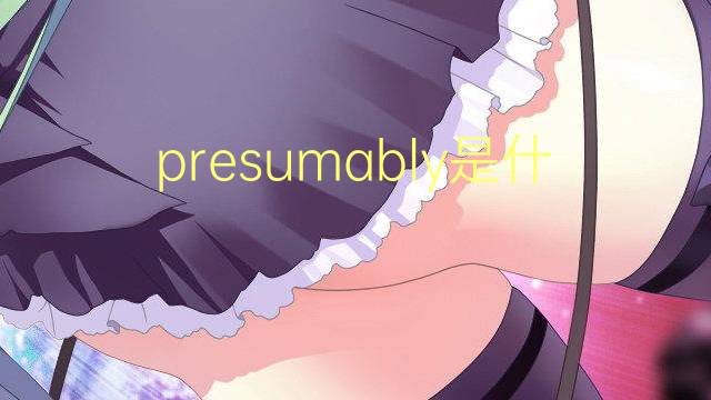 presumably是什么意思 presumably的翻译、读音、例句、中文解释