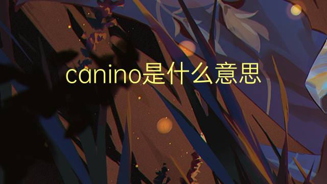 canino是什么意思 canino的翻译、读音、例句、中文解释