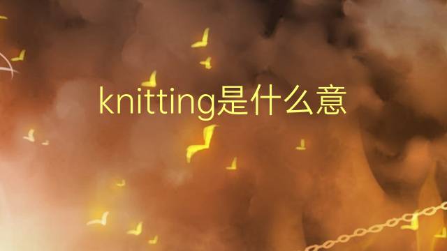 knitting是什么意思 knitting的翻译、读音、例句、中文解释