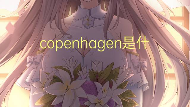 copenhagen是什么意思 copenhagen的翻译、读音、例句、中文解释