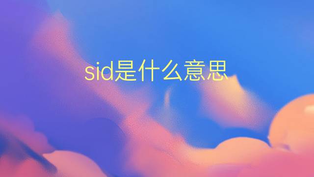 sid是什么意思 sid的翻译、读音、例句、中文解释