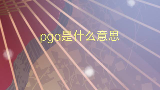 pga是什么意思 pga的翻译、读音、例句、中文解释