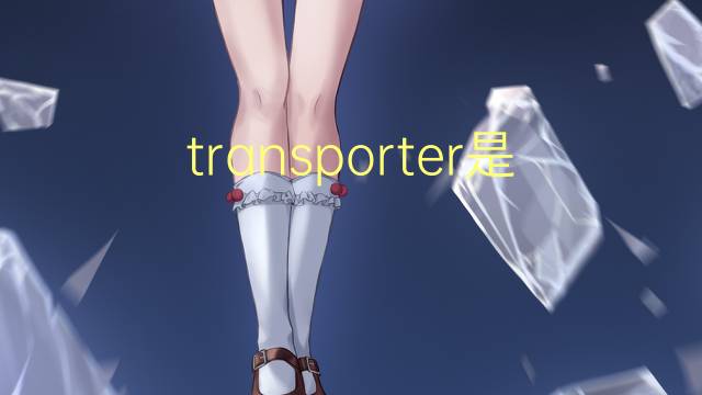 transporter是什么意思 transporter的翻译、读音、例句、中文解释