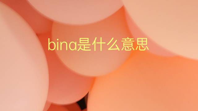 bina是什么意思 bina的翻译、读音、例句、中文解释