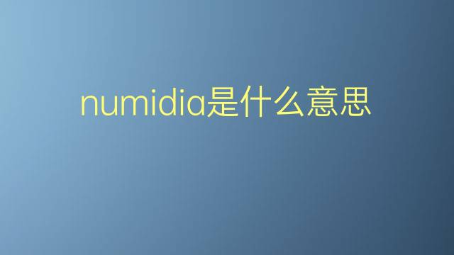 numidia是什么意思 numidia的翻译、读音、例句、中文解释