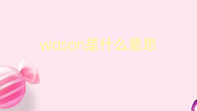 wason是什么意思 wason的翻译、读音、例句、中文解释