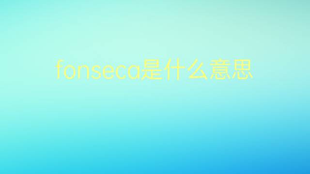 fonseca是什么意思 fonseca的翻译、读音、例句、中文解释