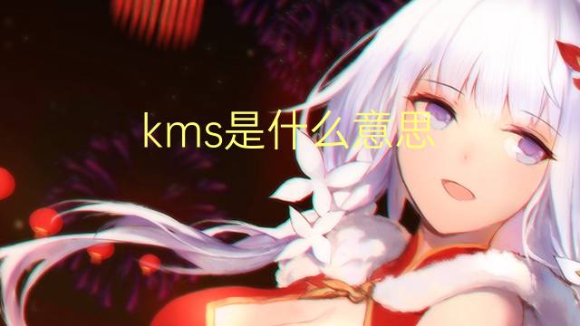 kms是什么意思 kms的翻译、读音、例句、中文解释