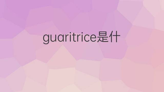 guaritrice是什么意思 guaritrice的翻译、读音、例句、中文解释