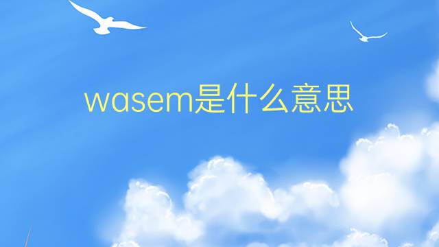 wasem是什么意思 wasem的翻译、读音、例句、中文解释