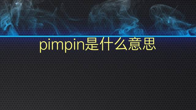 pimpin是什么意思 pimpin的翻译、读音、例句、中文解释