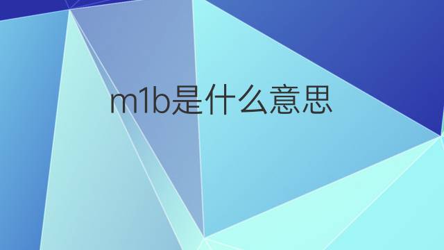 m1b是什么意思 m1b的翻译、读音、例句、中文解释