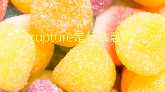 rapture是什么意思 rapture的翻译、读音、例句、中文解释