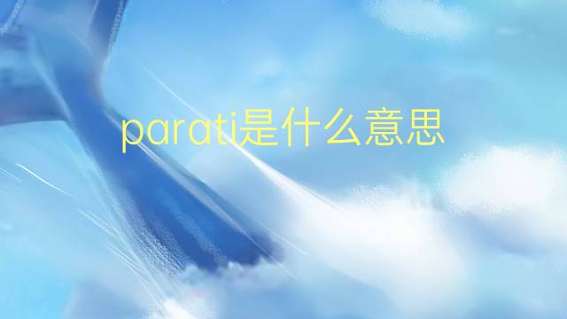 parati是什么意思 parati的翻译、读音、例句、中文解释