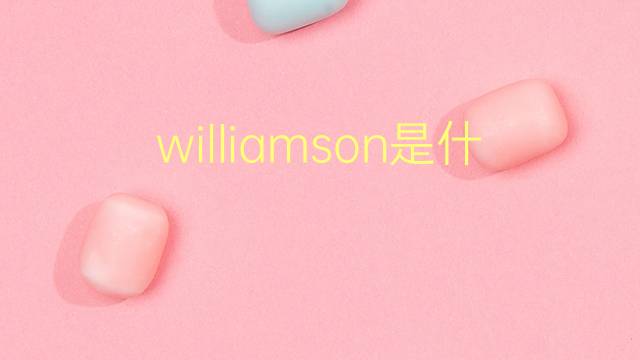 williamson是什么意思 williamson的翻译、读音、例句、中文解释