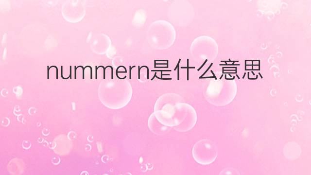 nummern是什么意思 nummern的翻译、读音、例句、中文解释