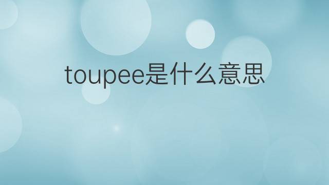 toupee是什么意思 toupee的翻译、读音、例句、中文解释