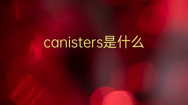 canisters是什么意思 canisters的翻译、读音、例句、中文解释