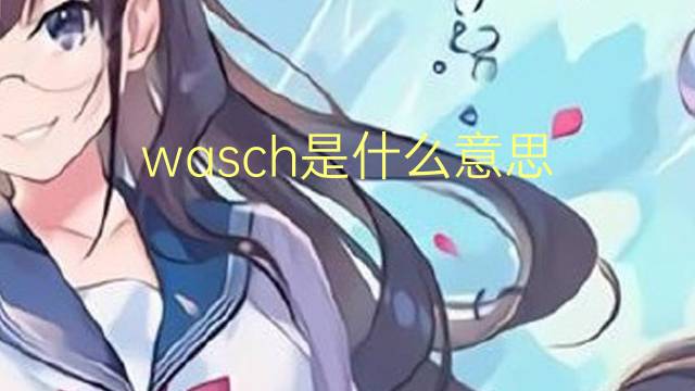 wasch是什么意思 wasch的翻译、读音、例句、中文解释