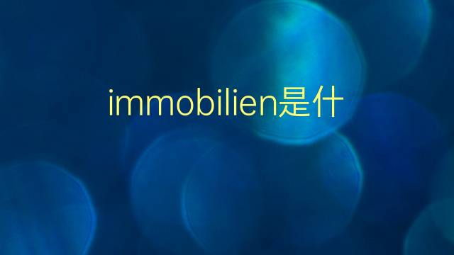 immobilien是什么意思 immobilien的翻译、读音、例句、中文解释