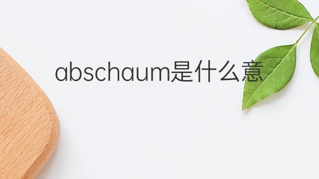 abschaum是什么意思 abschaum的翻译、读音、例句、中文解释