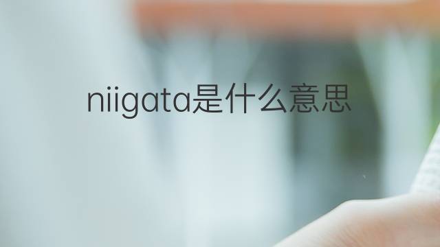 niigata是什么意思 niigata的翻译、读音、例句、中文解释