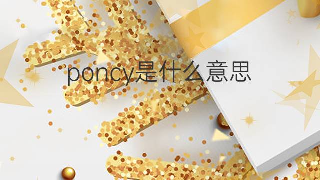 poncy是什么意思 poncy的翻译、读音、例句、中文解释