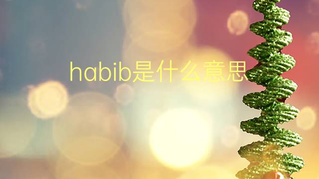 habib是什么意思 habib的翻译、读音、例句、中文解释