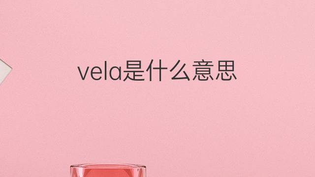 vela是什么意思 vela的翻译、读音、例句、中文解释