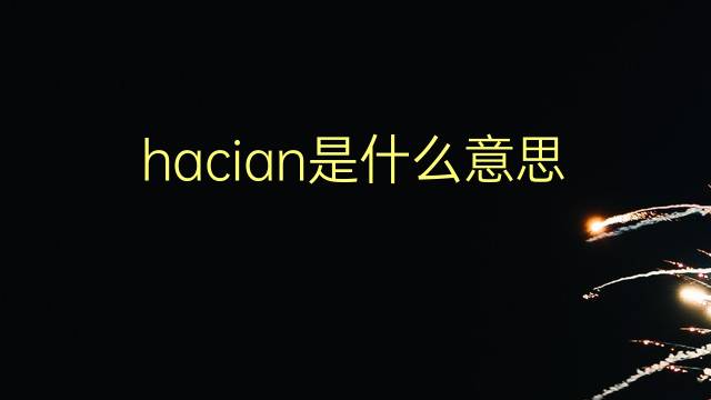 hacian是什么意思 hacian的翻译、读音、例句、中文解释