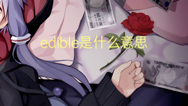 edible是什么意思 edible的翻译、读音、例句、中文解释