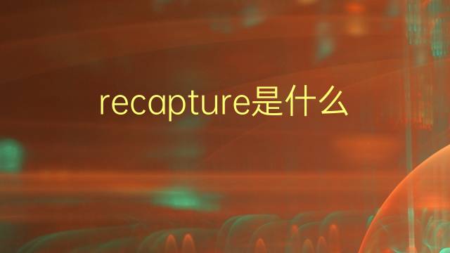 recapture是什么意思 recapture的翻译、读音、例句、中文解释