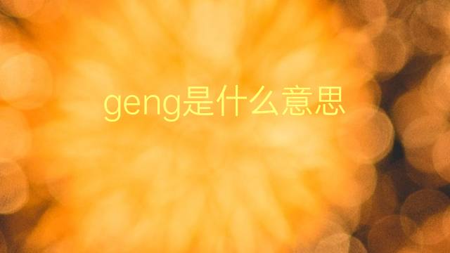 geng是什么意思 geng的翻译、读音、例句、中文解释