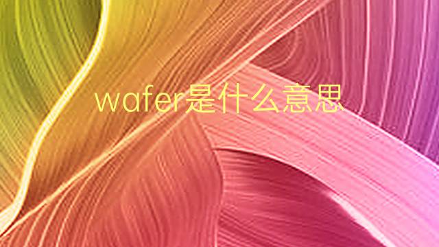 wafer是什么意思 wafer的翻译、读音、例句、中文解释