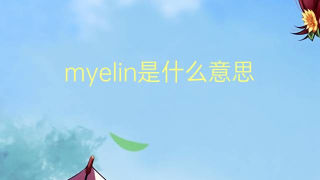 myelin是什么意思 myelin的翻译、读音、例句、中文解释