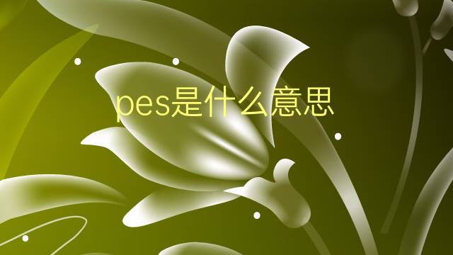 pes是什么意思 pes的翻译、读音、例句、中文解释