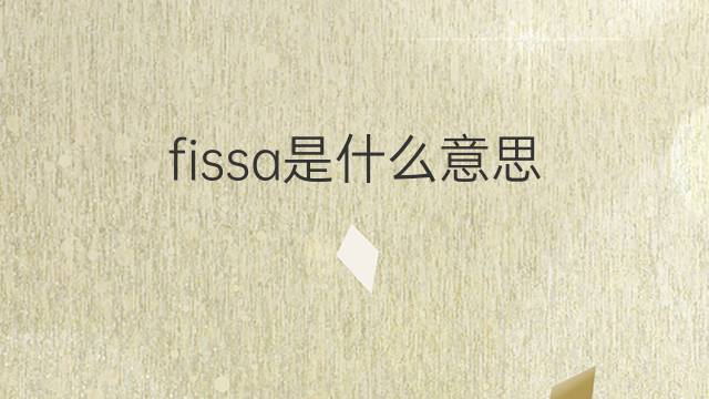 fissa是什么意思 fissa的翻译、读音、例句、中文解释