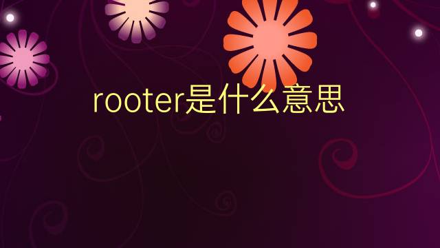 rooter是什么意思 rooter的翻译、读音、例句、中文解释