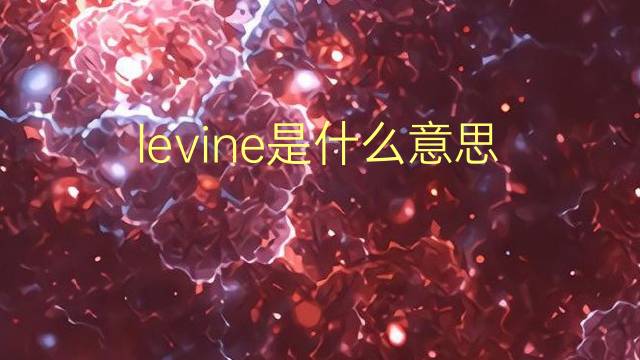 levine是什么意思 levine的翻译、读音、例句、中文解释