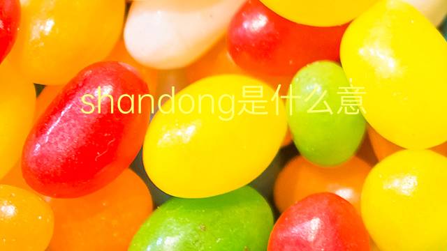 shandong是什么意思 shandong的翻译、读音、例句、中文解释