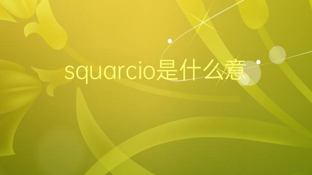 squarcio是什么意思 squarcio的翻译、读音、例句、中文解释